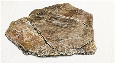 新方法可量化惡劣環(huán)境對(duì)材料的影響
