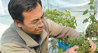 讓高原農(nóng)牧民一年四季吃上新鮮菜