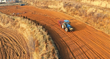 冬閑人未歇 鄉(xiāng)村增收忙